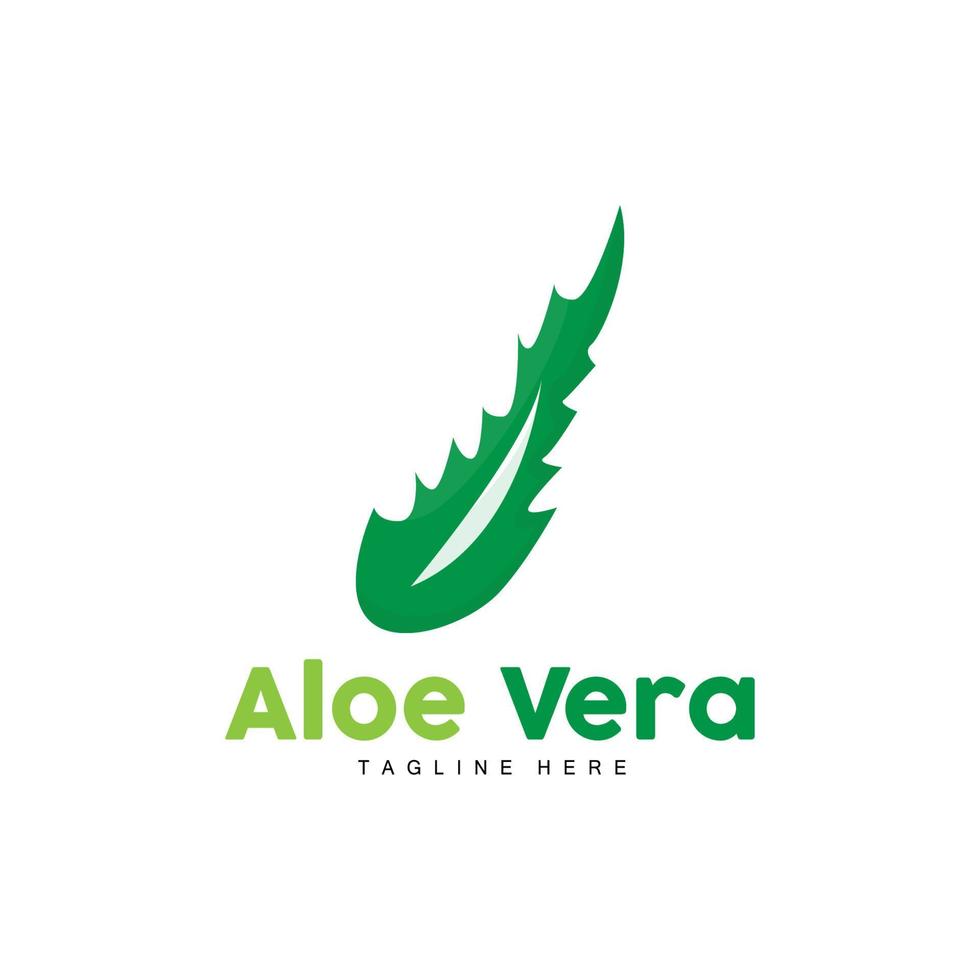 Aloe vera Logo, Grün Pflanze Design, traditionell Medizin und Haut Pflege Pflanze Vektor, Haar Pflege, Symbol Symbol Illustration vektor