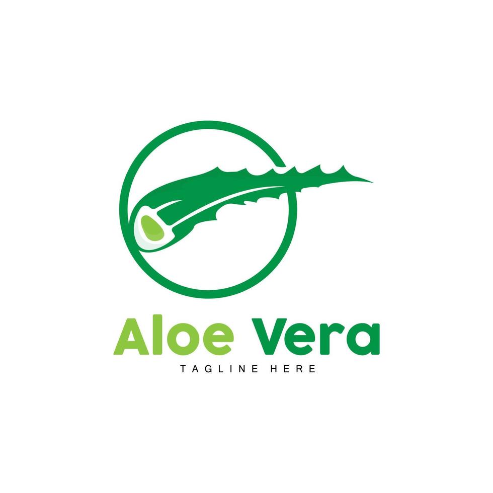 aloe vera logotyp, grön växt design, traditionell medicin och hud vård växt vektor, hår vård, symbol ikon illustration vektor