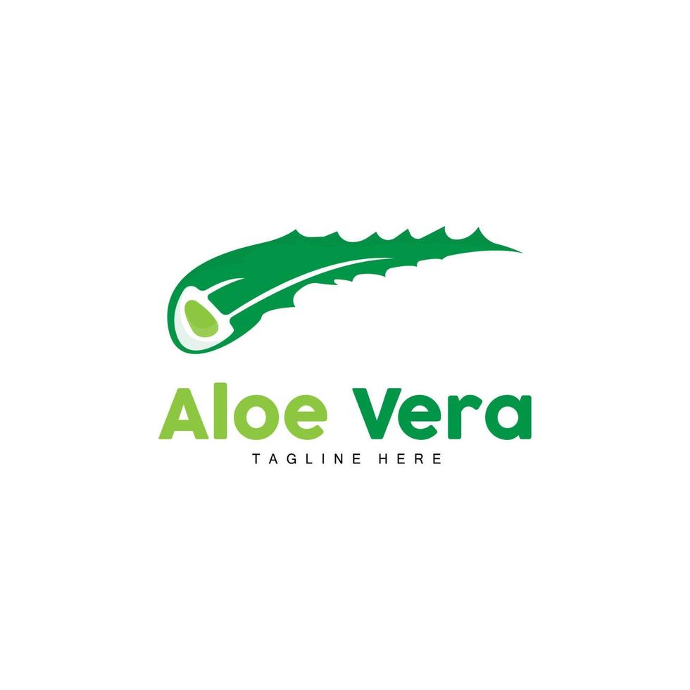 aloe vera logotyp, grön växt design, traditionell medicin och hud vård växt vektor, hår vård, symbol ikon illustration vektor