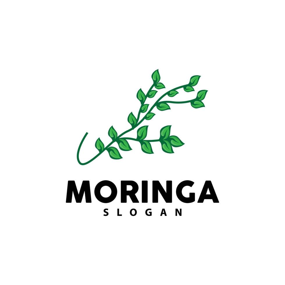 Blatt Logo, Öko Grün Pflanze Vektor, Grün Erde Pflege Recycling Design, Moringa Blatt Logo Symbol Vorlage Illustration vektor