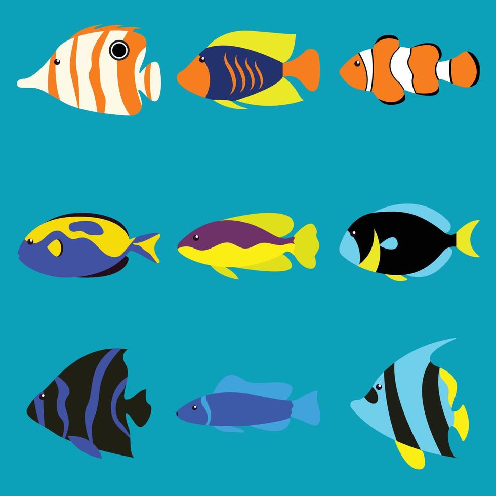 vektor fisk samling olika färgrik hav fisk