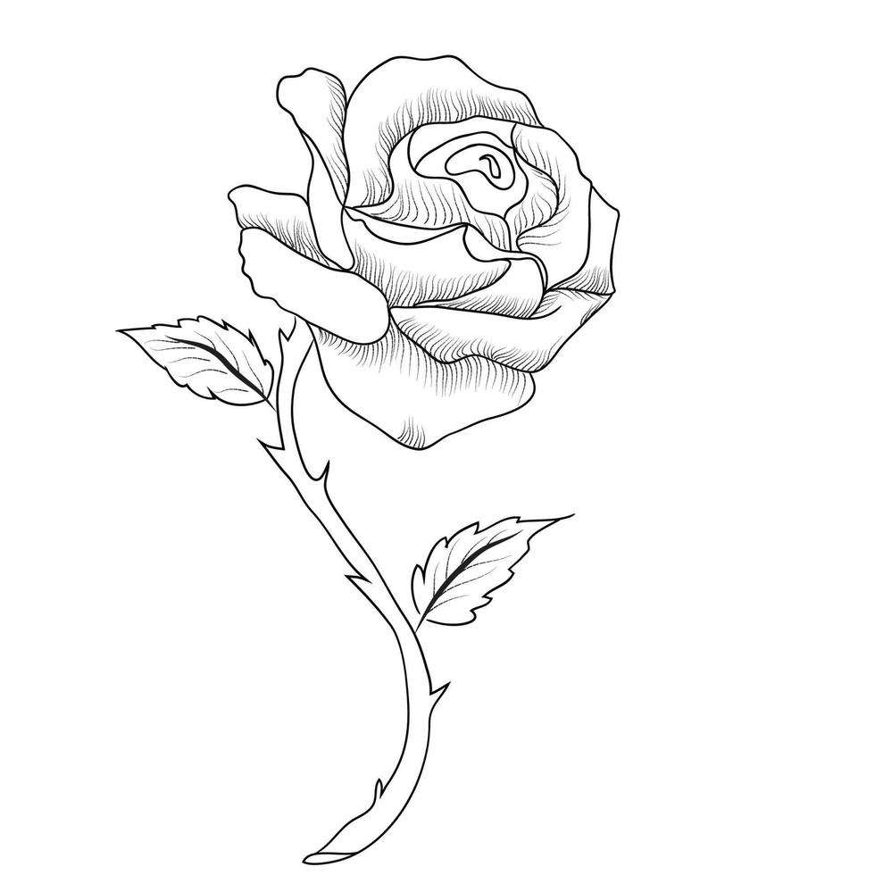 kostenlos Vektor Linie Kunst und Hand Zeichnung Blume Kunst schwarz und Weiß eben Design einfach Blume