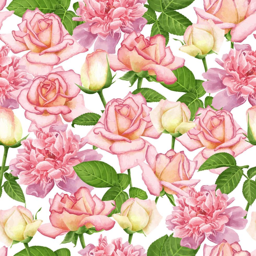 Weiß Vektor nahtlos Hintergrund mit Blühen Digital Aquarell Rosa Rosen und Pfingstrosen