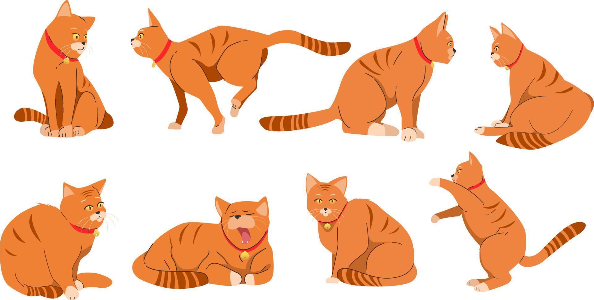 orange söt katt djur- platt illustration design vektor