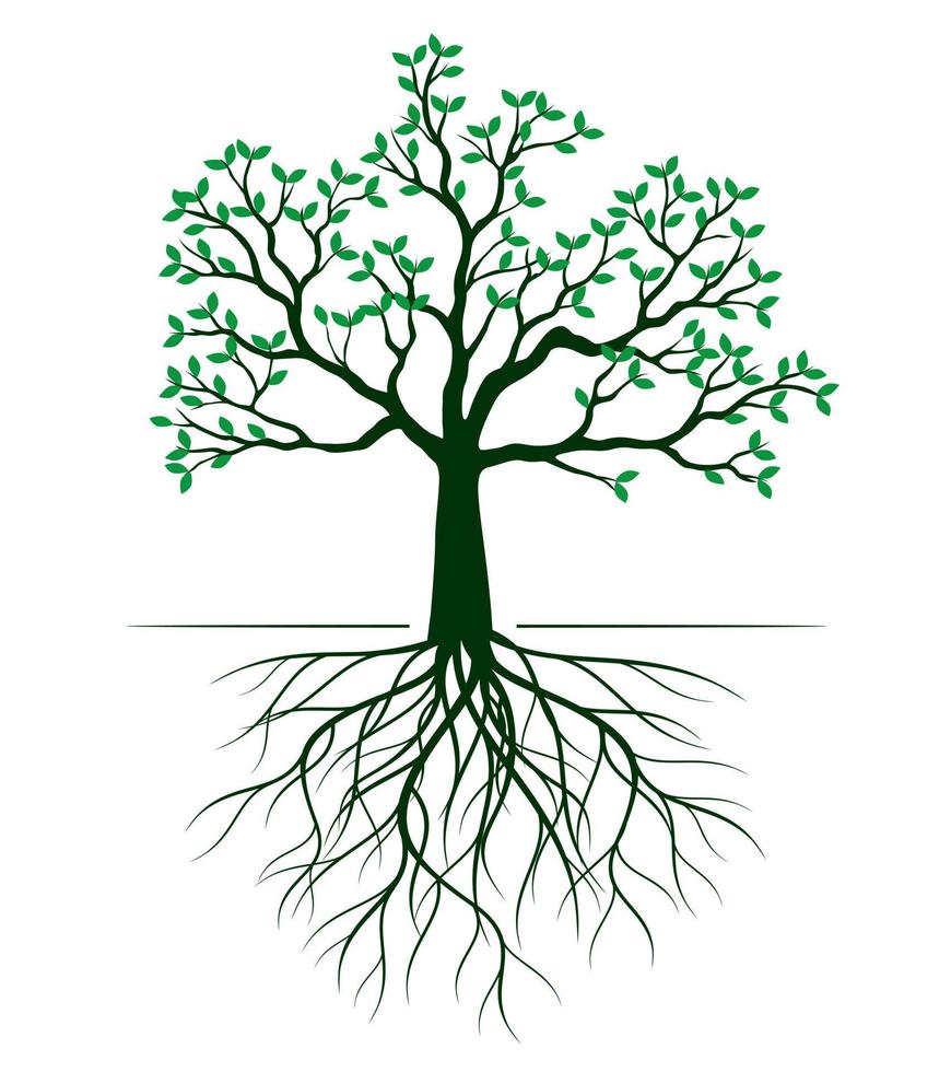 form av grön träd med löv och rötter. vektor översikt illustration.