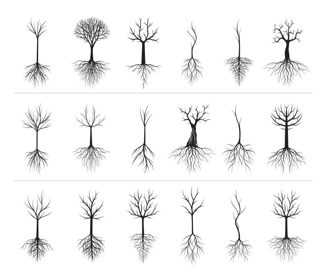 sätta svarta träd med rötter. vektor illustration.