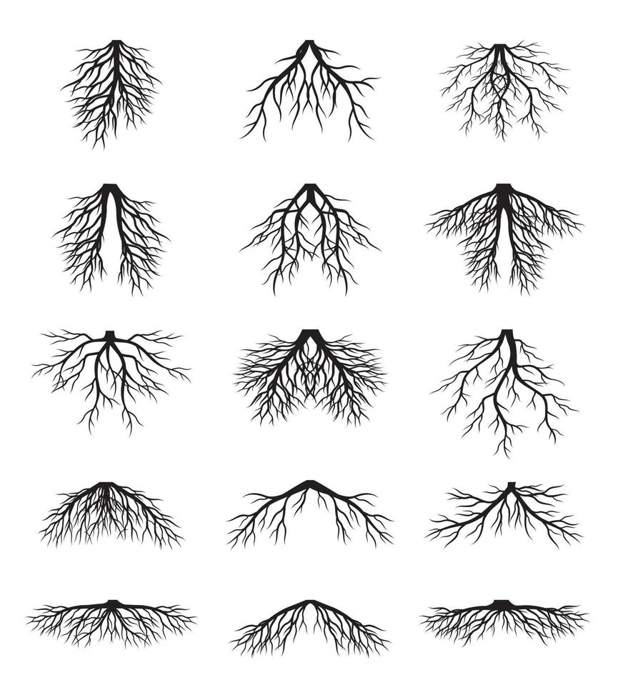 uppsättning svart träd rötter. vektor översikt illustration. växt i trädgård.
