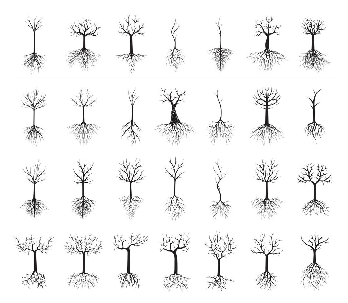 uppsättning svart vektor träd med rötter. eps.