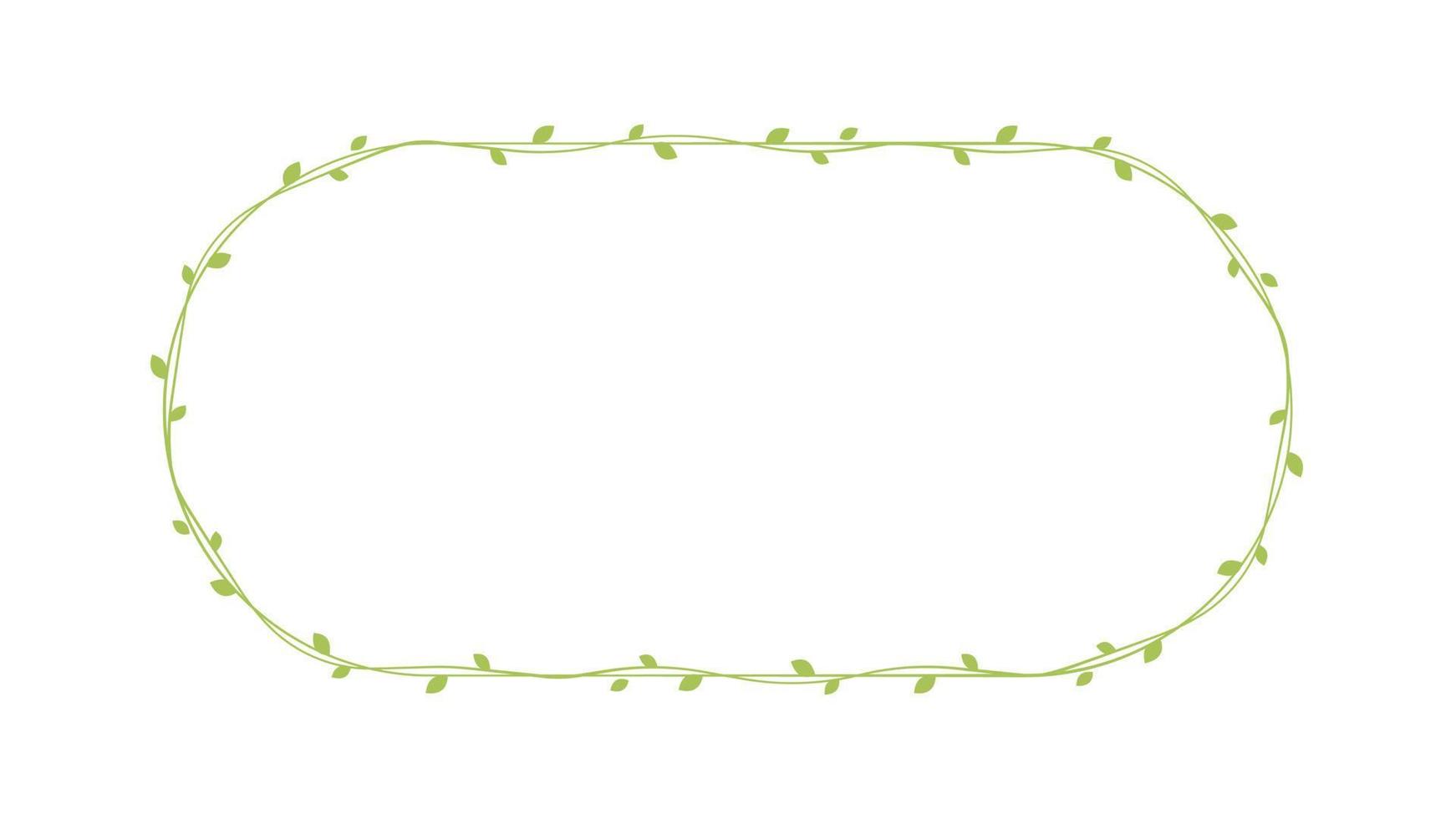 oval grön vin ramar och gränser, blommig botanisk design element vektor illustration