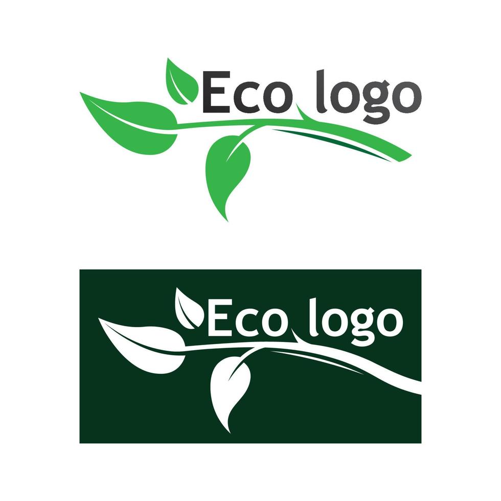 Öko-Energie-Vektorlogo mit Blattsymbol. grüne Farbe mit Blitz- oder Donnergrafik. Natur und Strom erneuerbar. Dieses Logo eignet sich für Technologie, Recycling, Bio. vektor
