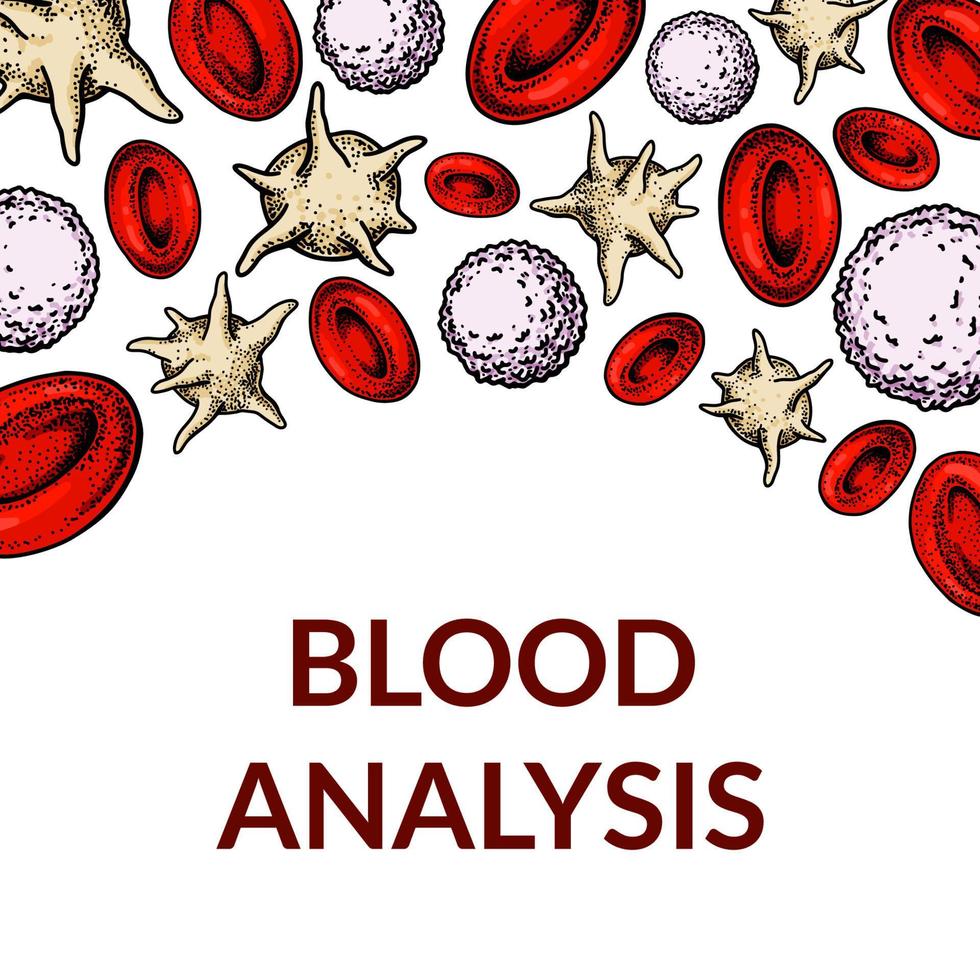 Blut Zellen Hintergrund. Design zum Blut prüfen, Anämie, Spende, Hämophilie, Labor wissenschaftlich Forschung Konzepte. Vektor Illustration im skizzieren Stil