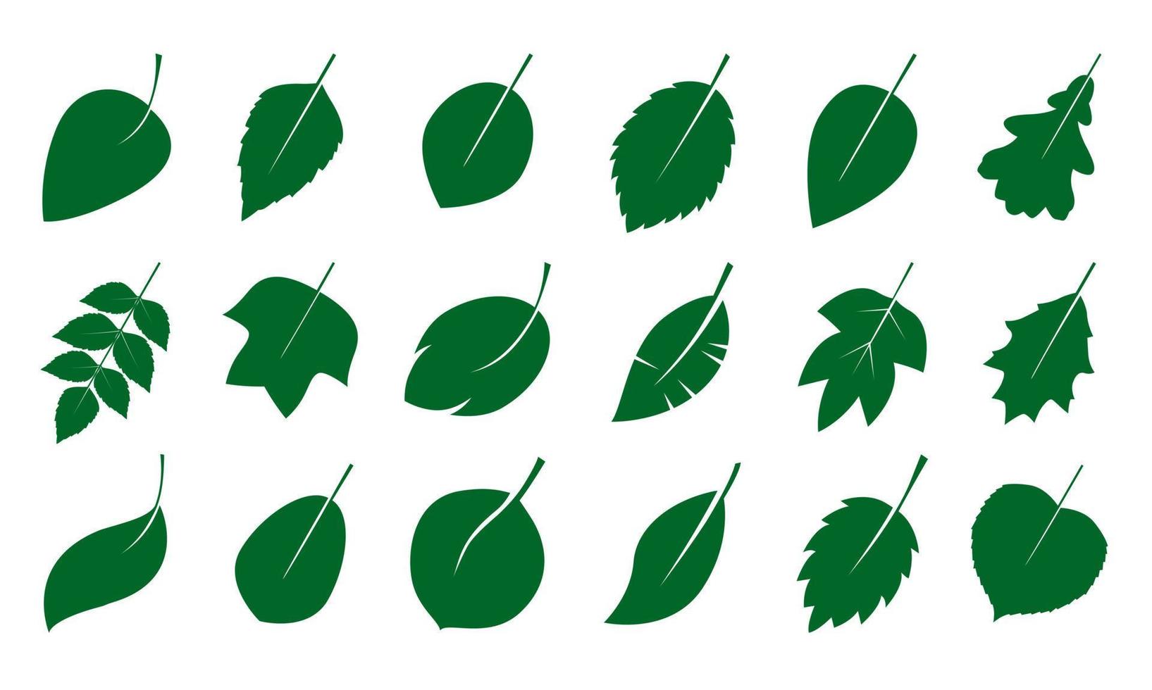 uppsättning av isolerad grön löv. vektor illustration.
