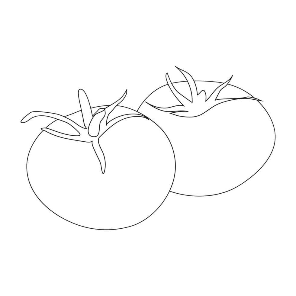 Symbol für Tomatenfrüchte vektor