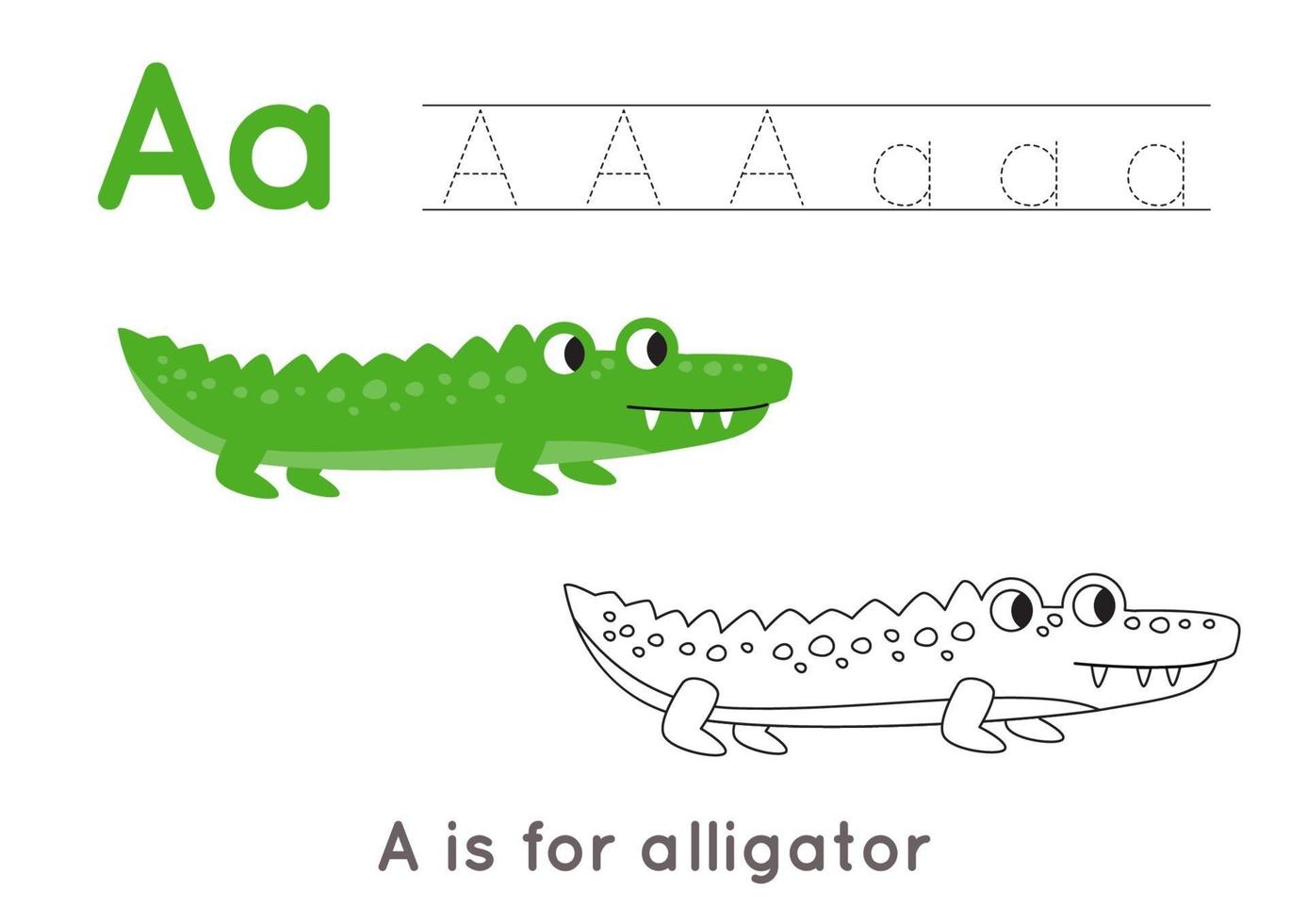 Färbe- und Verfolgungsseite mit Buchstabe a und niedlichem Cartoon-Alligator. vektor