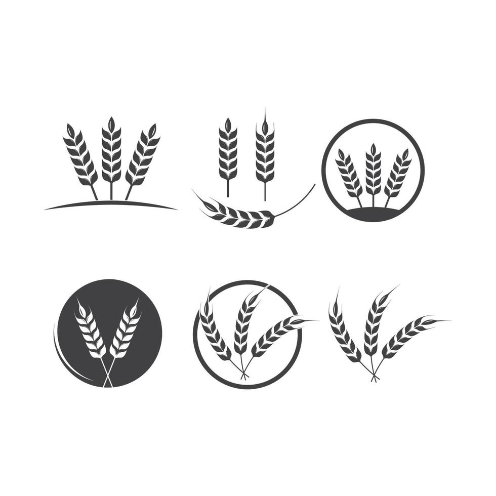 landwirtschaft, weizen, logo, schablone, vektor, symbol vektor