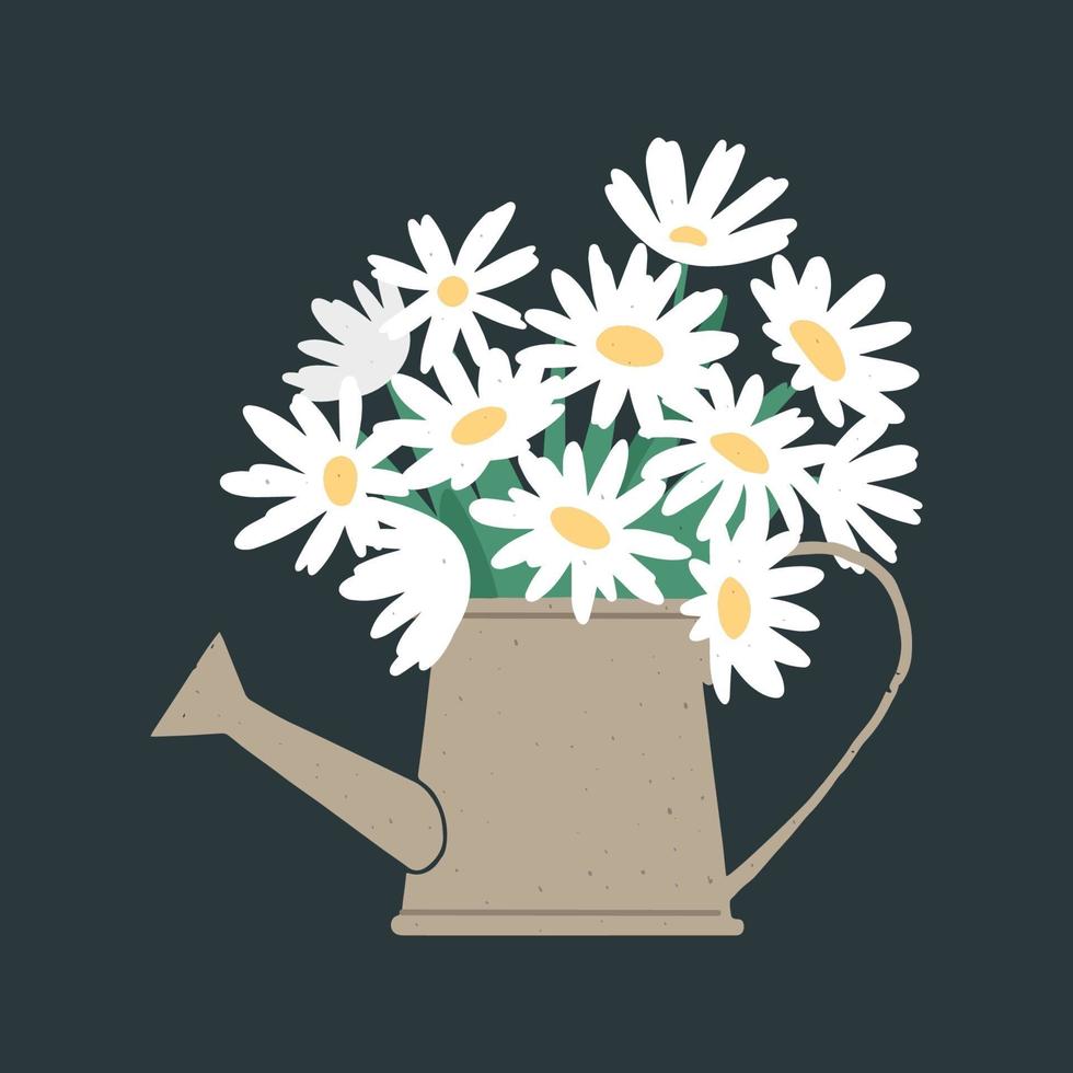 vektorillustration av massa färska kamomillblommor i vattenkanna på mörk bakgrund vektor