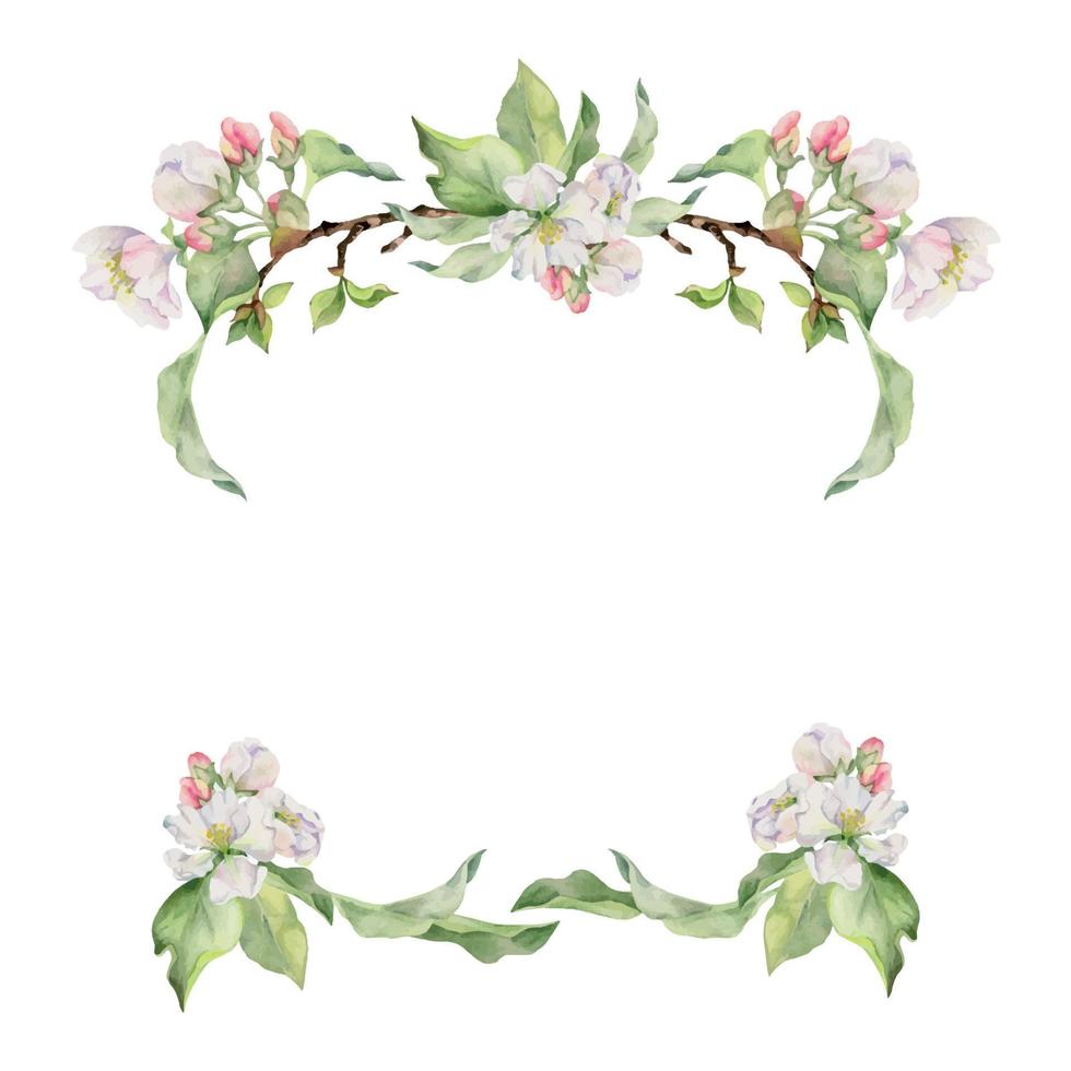 hand dragen vattenfärg äpple blomma, vit och rosa blommor med grön löv. fyrkant ram sammansättning. isolerat objekt på vit bakgrund. design för vägg konst, bröllop, skriva ut, tyg, omslag, kort. vektor