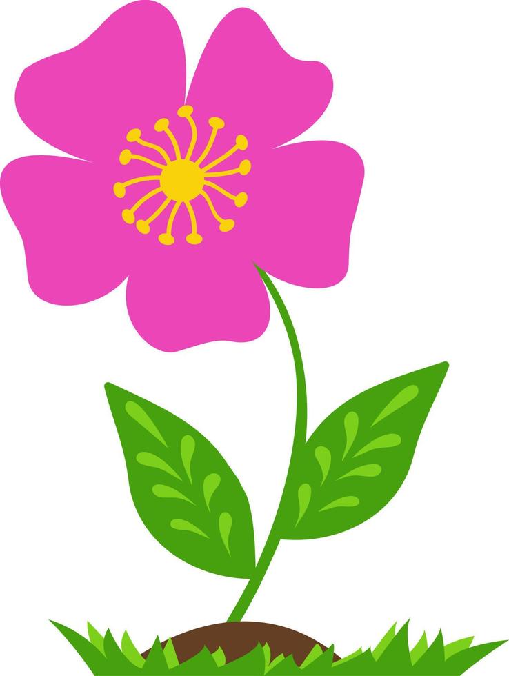 stilisiert Rosa Blume hervorgehoben auf ein Weiß Hintergrund. Vektor Blume im Karikatur Stil.Vektor Illustration zum Grüße, Hochzeiten, Blume Design.