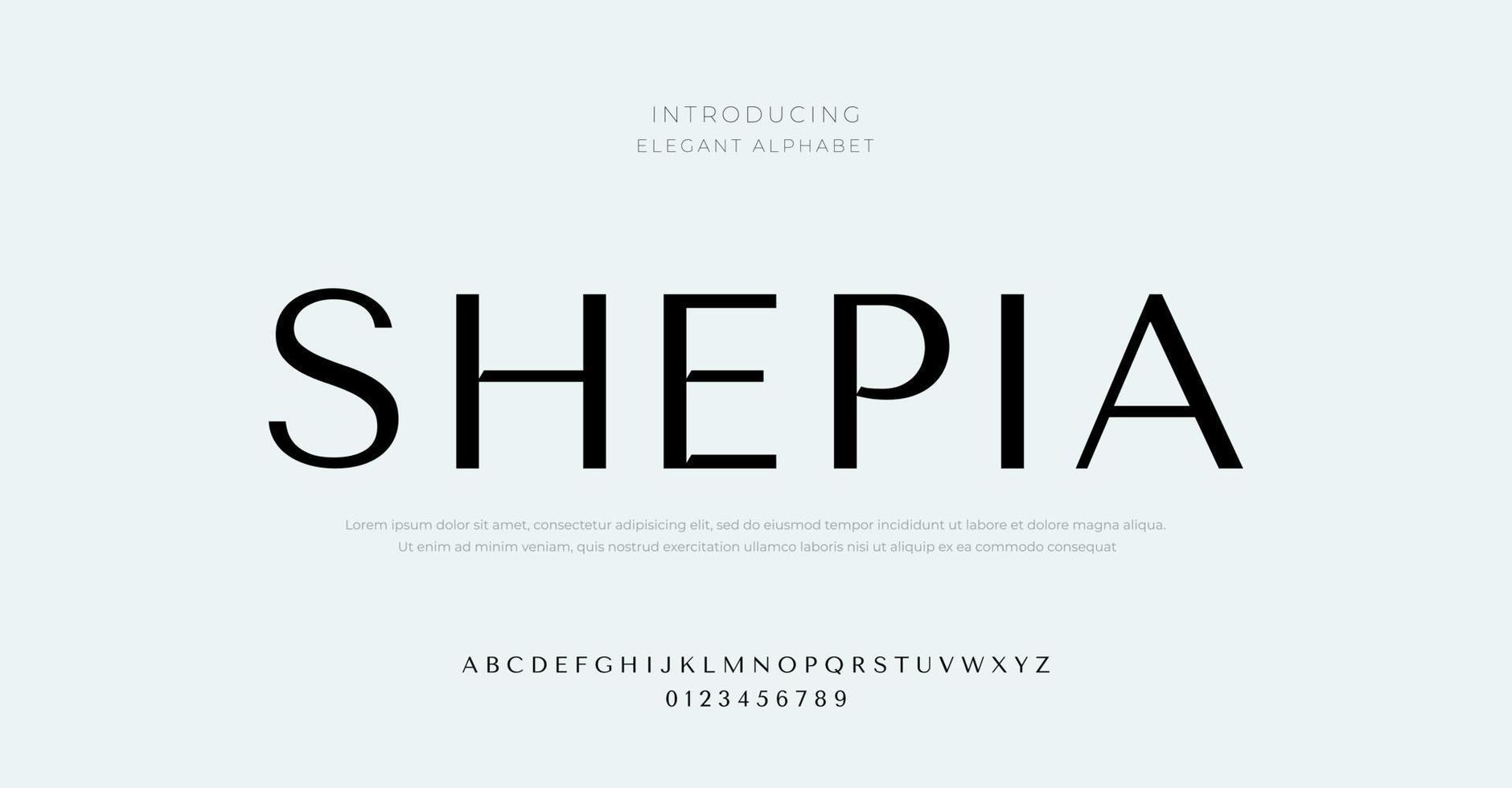 elegant Alphabet Schriftart. Typografie Stil Schriftarten zum Mode, Einzelhandel, feminin, Schönheit Pflege, Schmuck Logo Design vektor