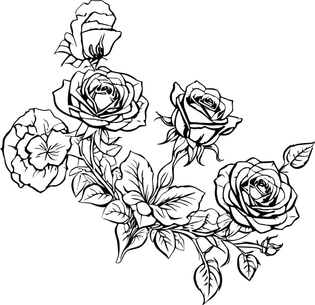 reste sig blomma översikt, bukett av drose blomma, hand dragen penna skiss färg sida och bok för vuxna isolerat på vit bakgrund blommig element tatuering, illustration bläck konst. reste sig vektor konst.