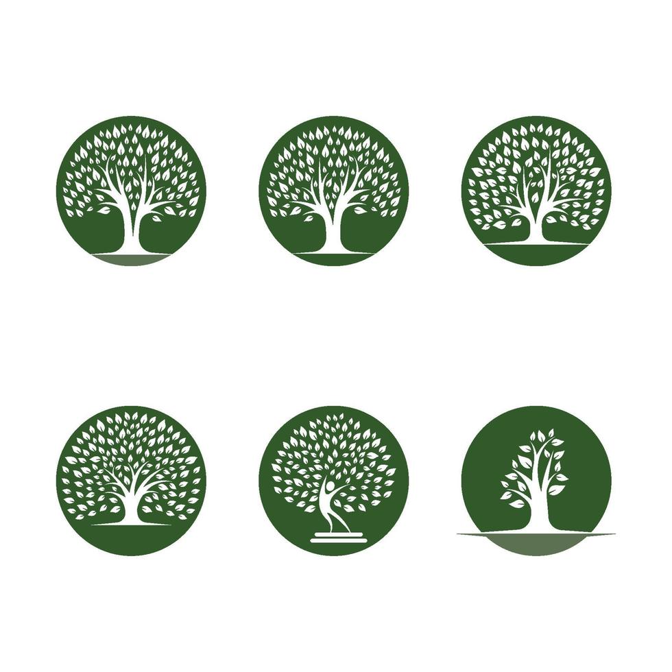 Baum Logo Bilder Design-Set vektor
