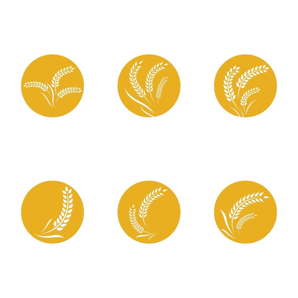 Weizen Logo Bilder gesetzt vektor