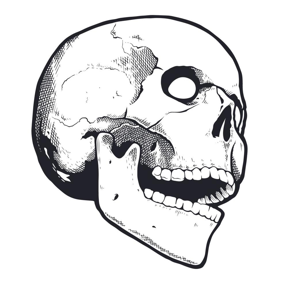 gravyr stil skalle med öppen mun vektor