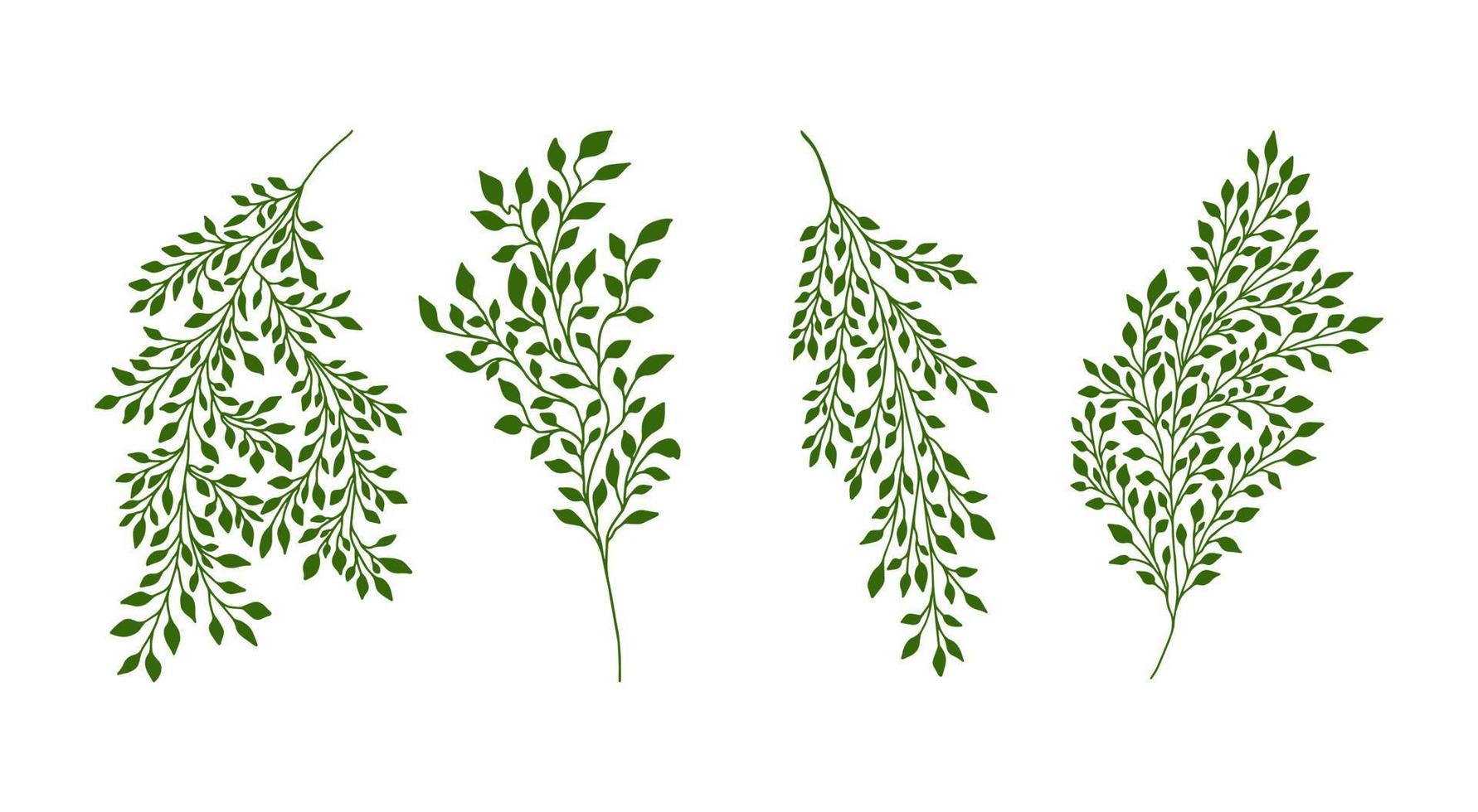 uppsättning av hand dragen klotter silhuetter av minimalistisk grenar och stjälkar med löv, kvist och gräs. träd konst design. isolerat på vit blackground vektor