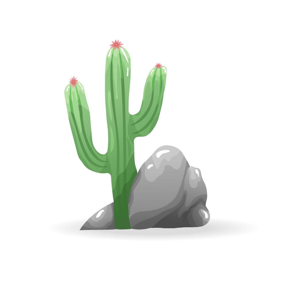 blomning kaktus med stenar Nedan. isolerat på vit bakgrund. vektor