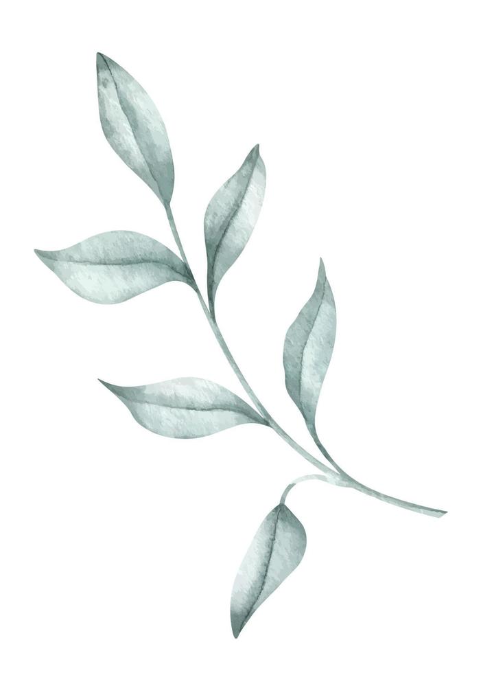 Aquarell Ast mit Blätter auf isoliert Hintergrund. Hand gezeichnet Illustration von Pflanze. botanisch Zeichnung zum Gruß Karten oder Hochzeit Einladungen im Pastell- Grün und Licht Blau Farben vektor