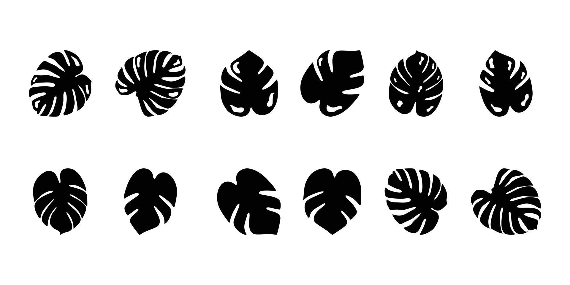 Silhouetten Grün Blatt Vektor, Monstera tropisch Pflanze Symbol. vektor