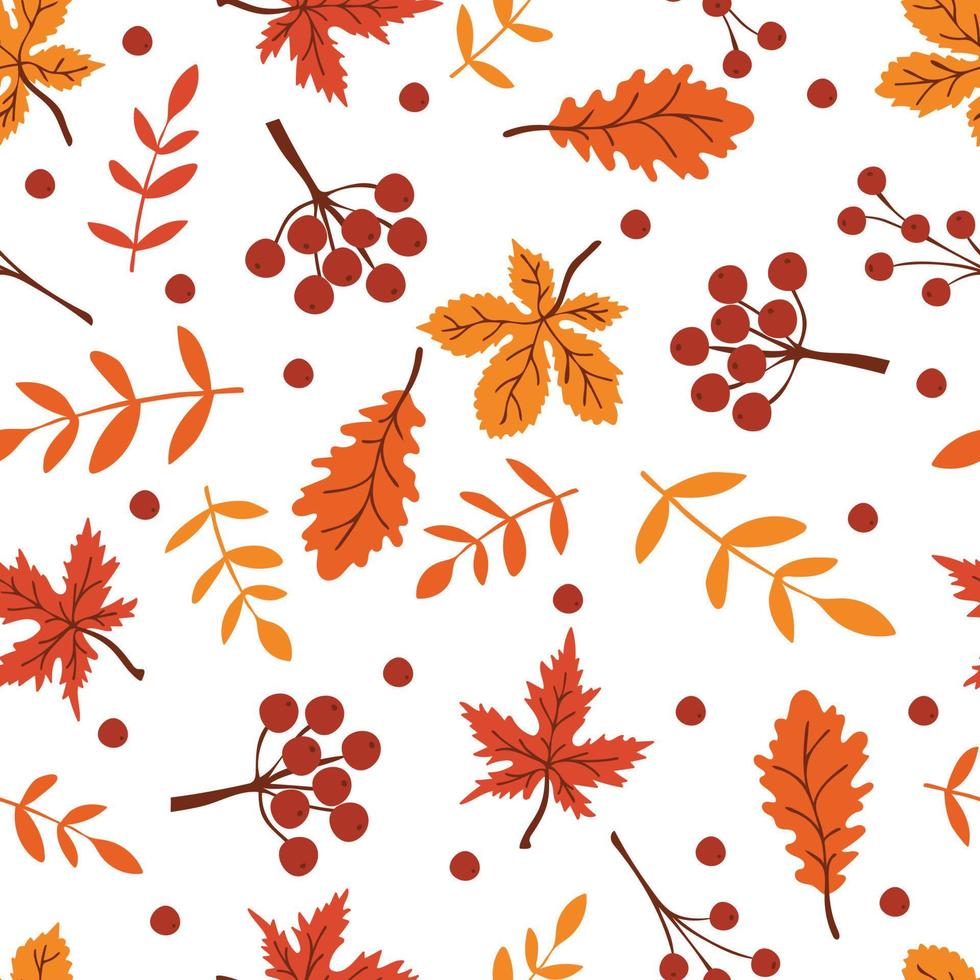 nahtlos Muster mit bunt Herbst Blätter und Beeren auf Weiß Hintergrund vektor