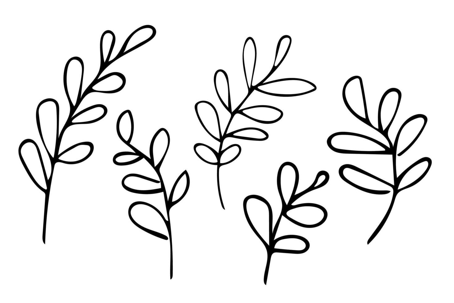 einstellen von Hand gezeichnet Gliederung Blätter, schwarz botanisch Abbildungen isoliert auf Weiß Hintergrund. Gekritzel Zeichnung vektor