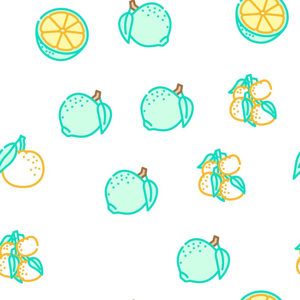 mandarin citrus- frukt vektor sömlös mönster