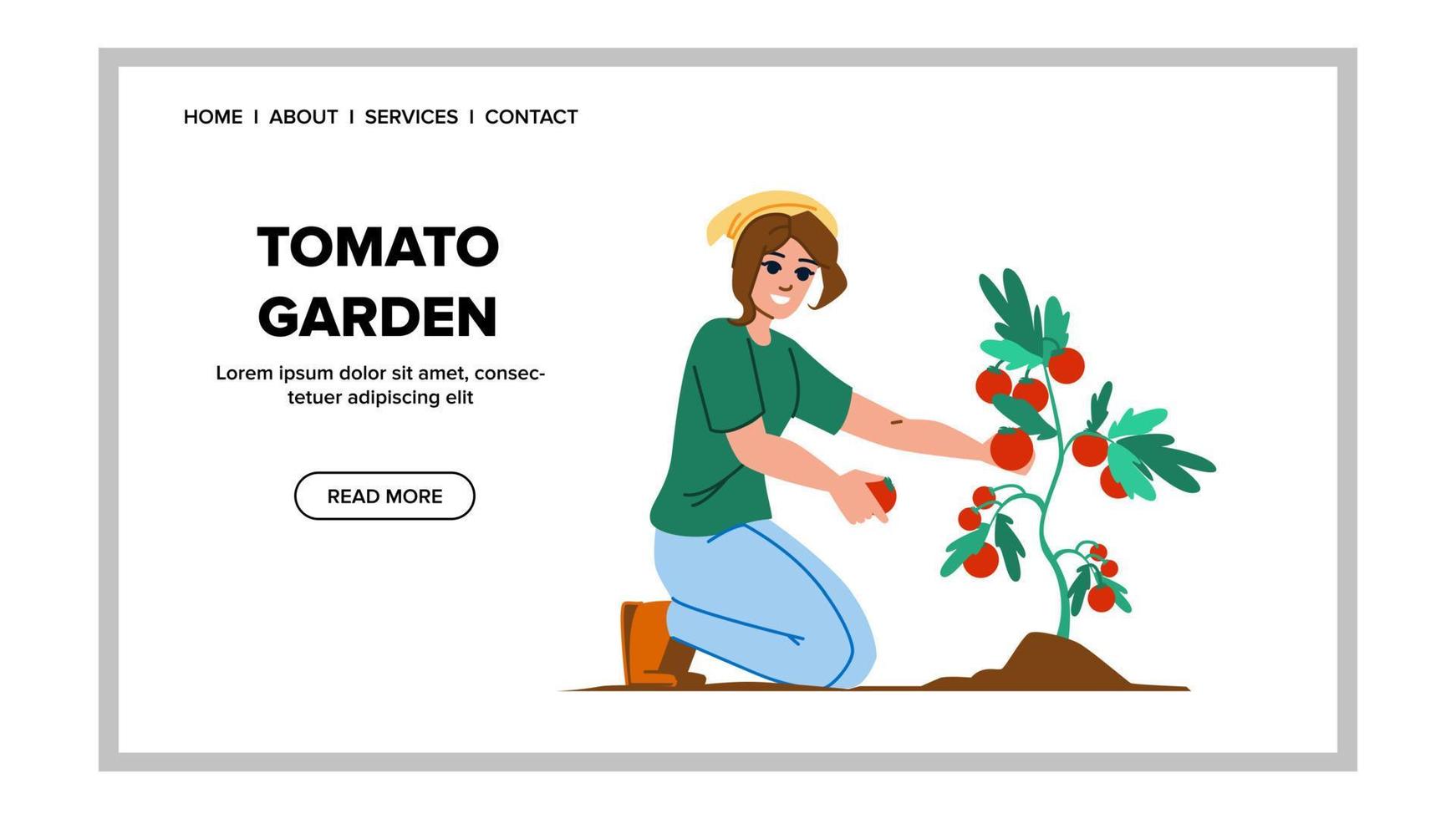 tomat trädgård vektor