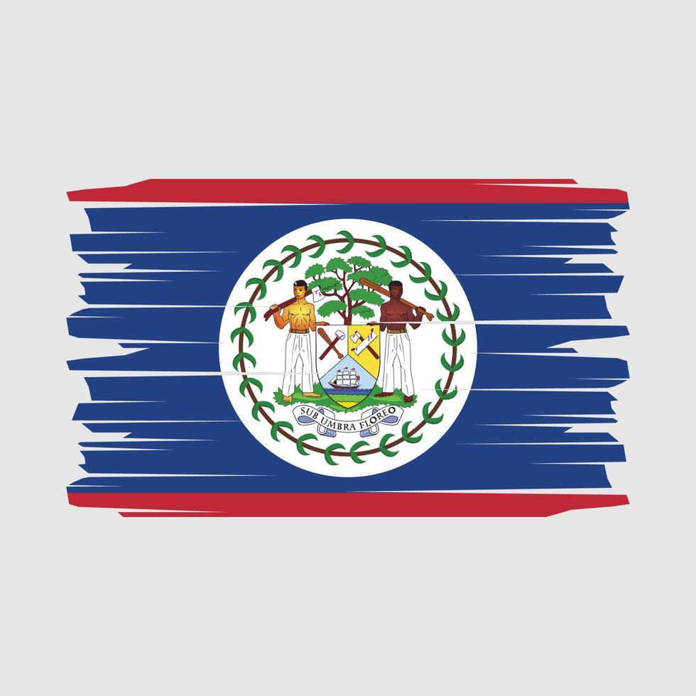 Pinselvektor mit Belize-Flagge vektor