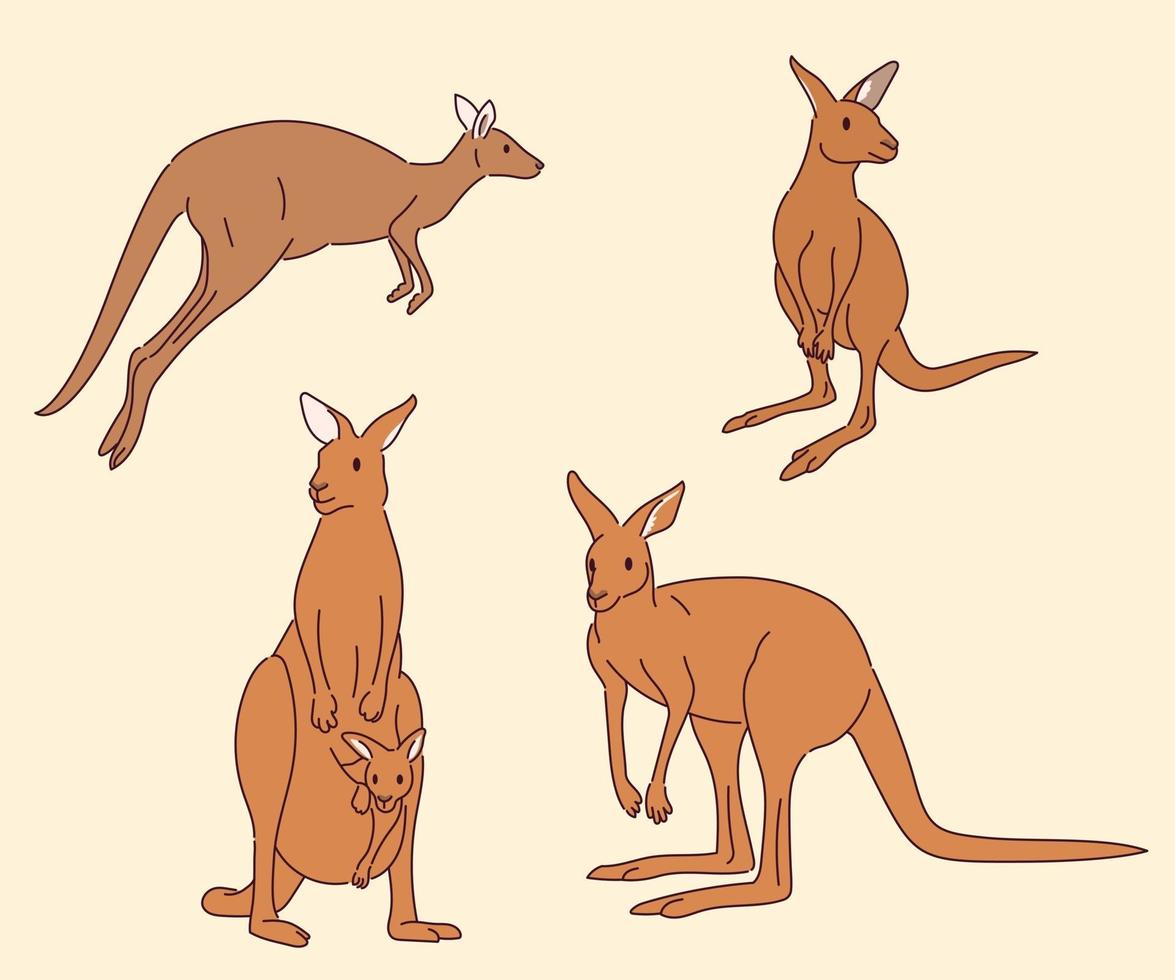 eine Reihe von Känguru-Charakteren in verschiedenen Posen. vektor