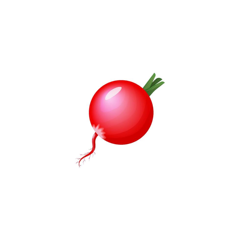 frisch Rettich Gemüse Symbol auf Weiß Hintergrund zum Netz Design vektor