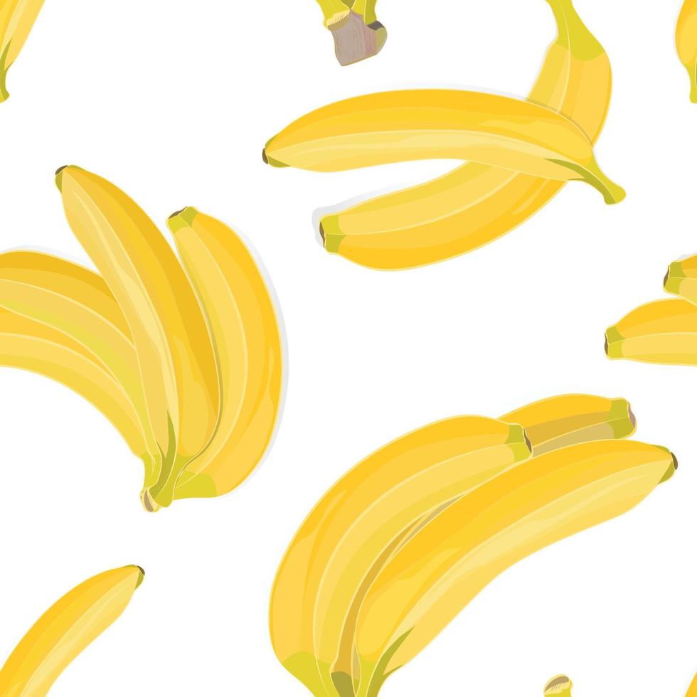 nahtlos Hand gezeichnet tropisch Muster mit Banane Obst auf Weiß Hintergrund vektor