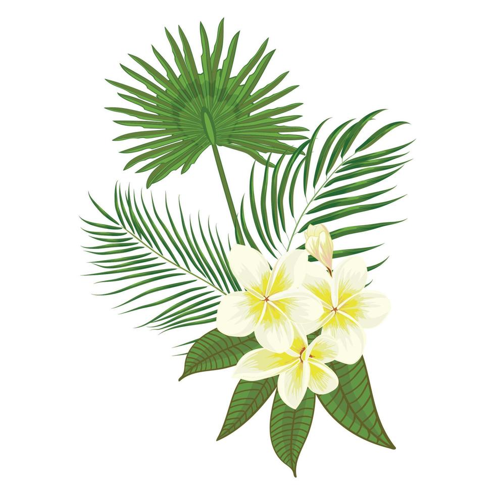 hand dragen tropisk handflatan löv och frangipani sammansättning med djungel exotisk blomma på vit bakgrund botanisk vektor illustration