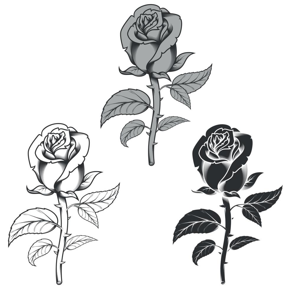 Vektordesign von Blumen in drei verschiedenen Stilen, schwarz und weiß vektor