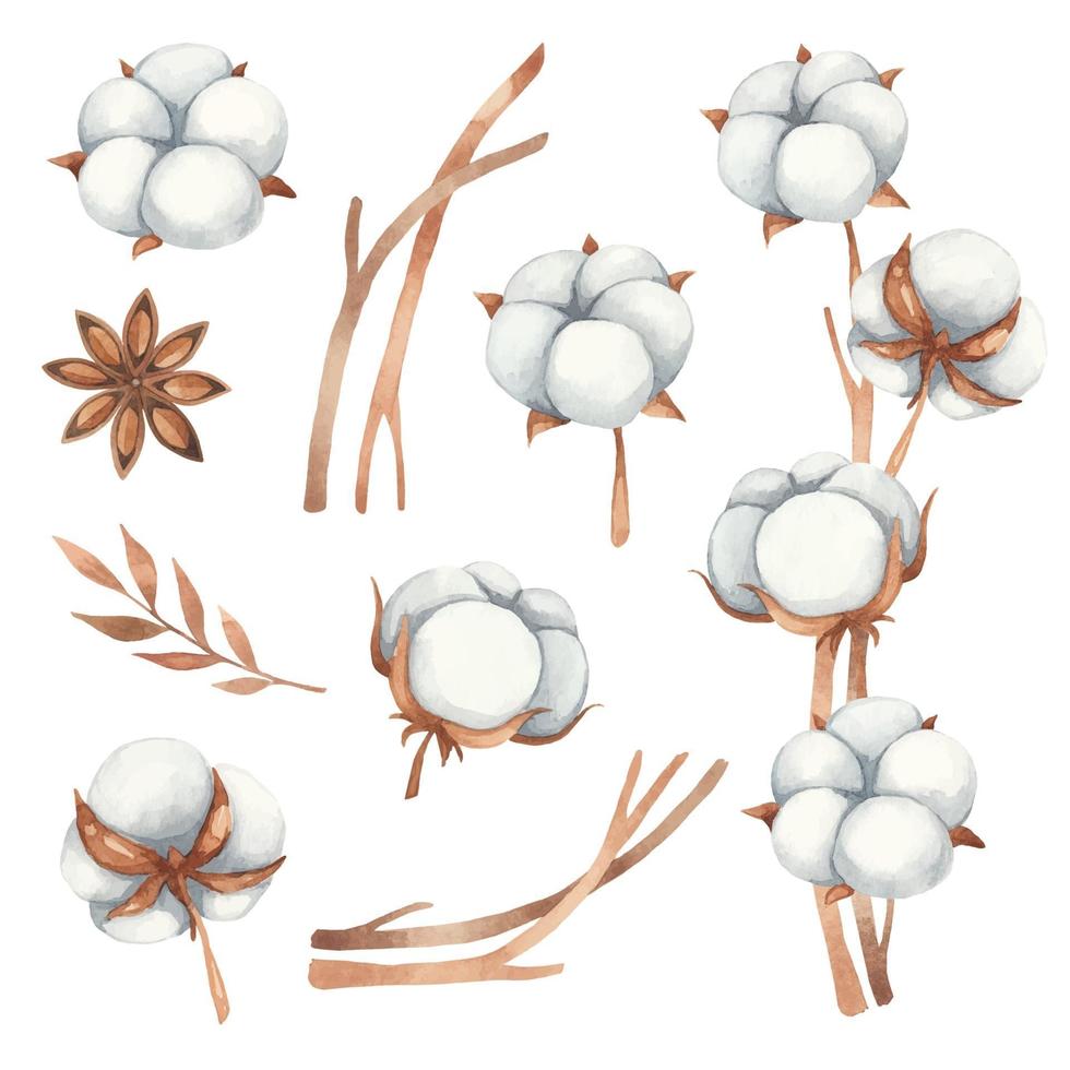 Aquarell-Set aus floralen Elementen aus Baumwollblumen, Anis und Baumwollzweigen in Brauntönen vektor