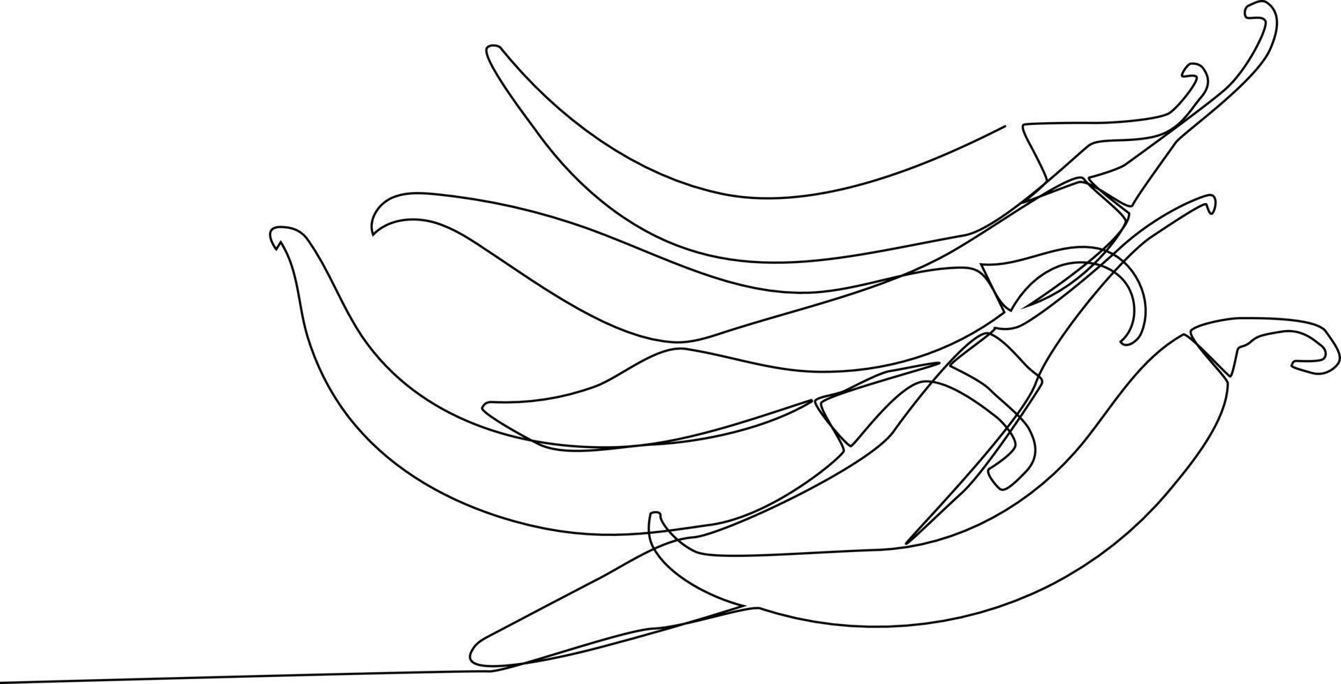 enda en linje teckning lugg av chilipeppar i de kök. örter och kryddor begrepp. kontinuerlig linje teckning design grafisk vektor illustration.