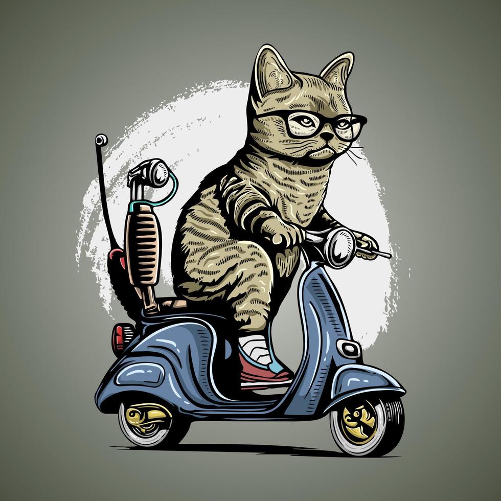 detalj katt med solglasögon ridning motorcykel och körning skoter vektor
