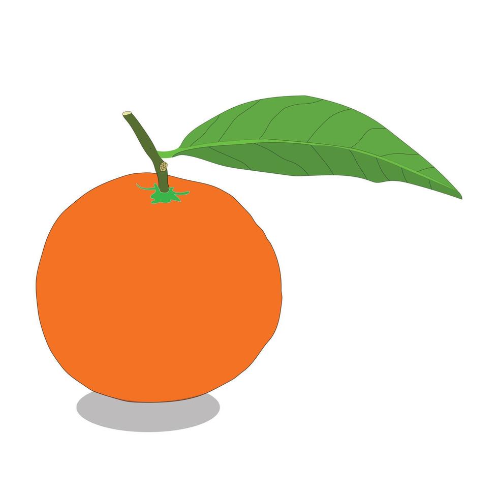 ein schön Orange Essen Vektor Kunst Design