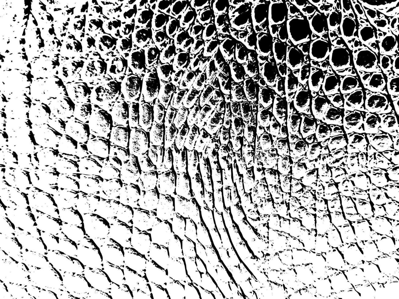 rustik knäckt vektor textur med många sprickor och repor. abstrakt bakgrund. bruten och skadad yta. åldrig bakgrund. vektor grafisk illustration med transparent vit.