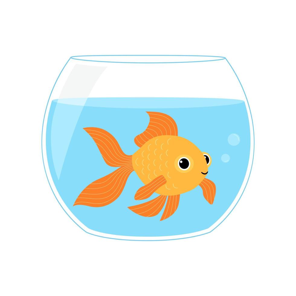 süß Gold Fisch Schwimmen im runden Glas Schüssel Aquarium isoliert auf Weiß Hintergrund. Vektor eben Illustration