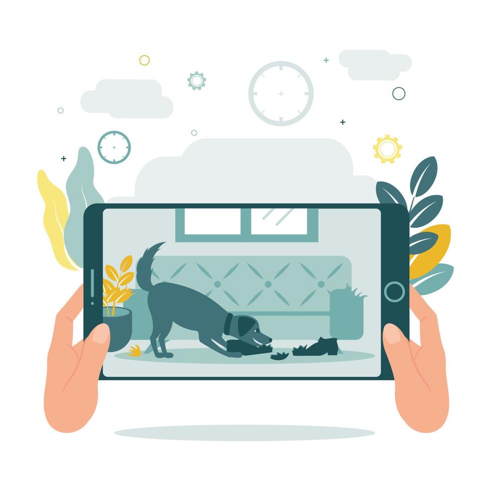 cctv.video Überwachung. Fernbedienung Zugang. ein Mann sieht aus in ein Tablette oder Telefon und Sehen Das das Hund ist Kauen auf Dinge. Aufpassen das Hund mit Video Überwachung. Vektor Illustration