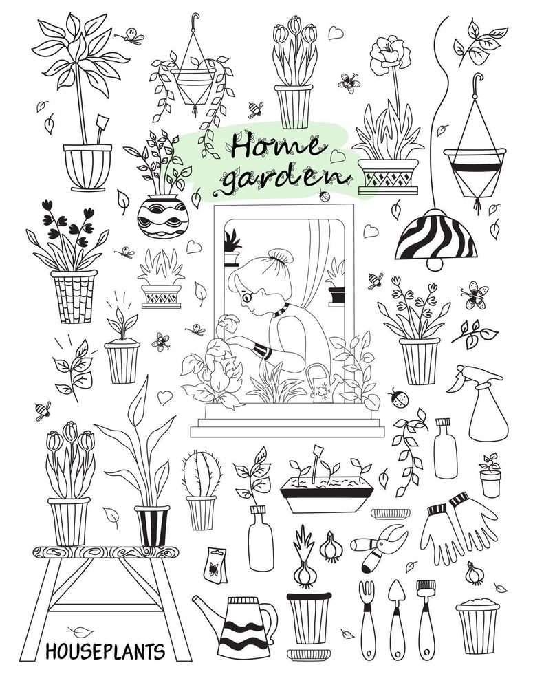 äldre kvinna i en grön interiör i ett öppet fönster. uppsättning doodles krukväxter och blommor, aktuella växter, möbler, verktyg vektor