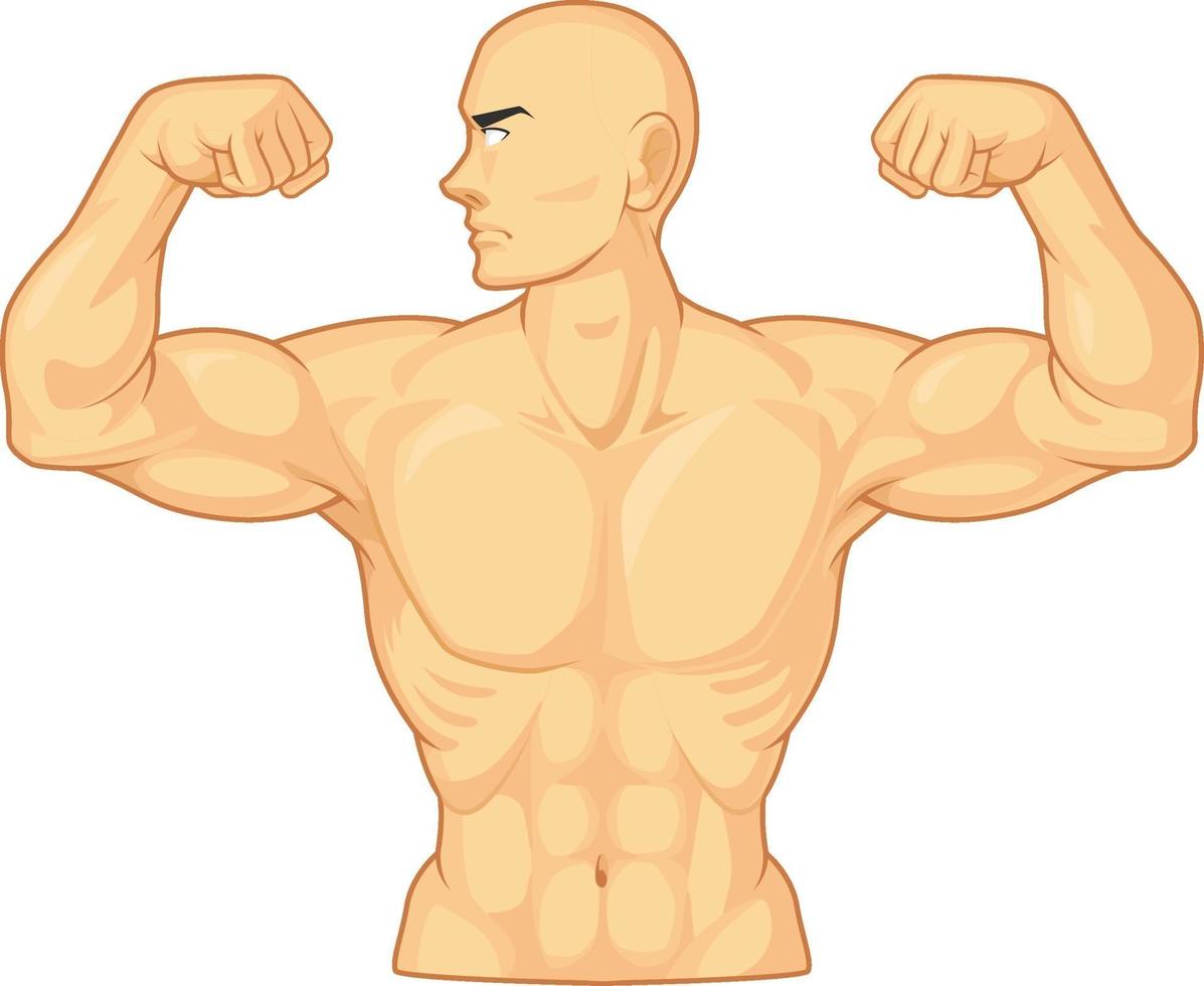 Bodybuilder, der Armbizepsmuskelkarikatur-Vektorzeichnung isoliert biegt vektor